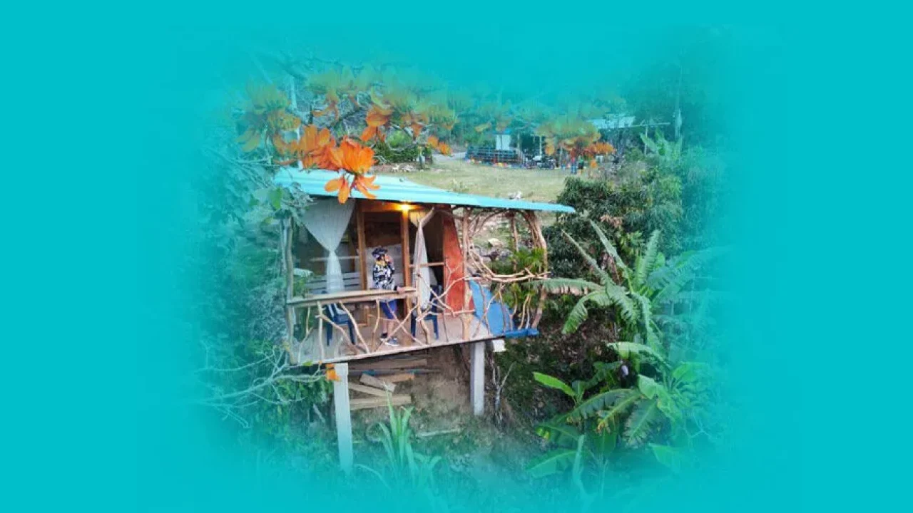 10. JARDINES EL EDEN