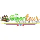 LOGO GIGANTE TOURS